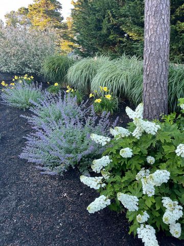 68 Sea Meadow Drive, East Dennis, MA 02641