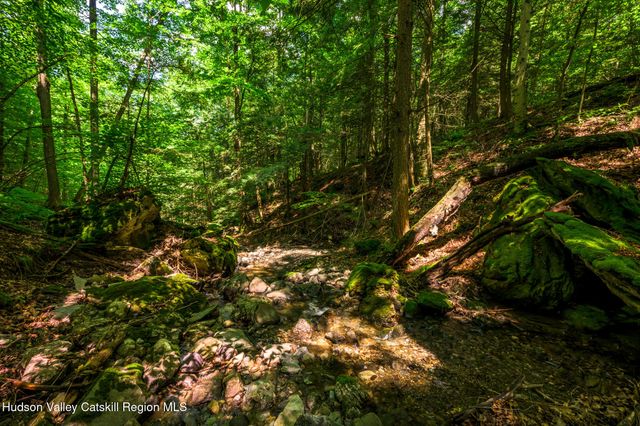 105 Norton Road, Austerlitz, NY 12017