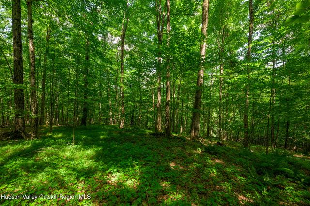 105 Norton Road, Austerlitz, NY 12017