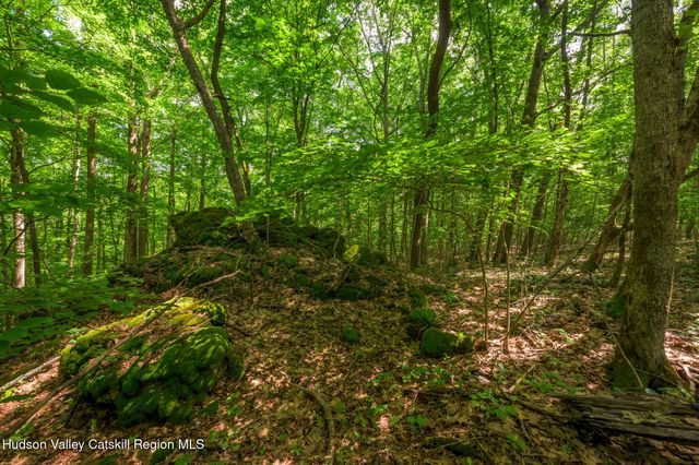 105 Norton Road, Austerlitz, NY 12017