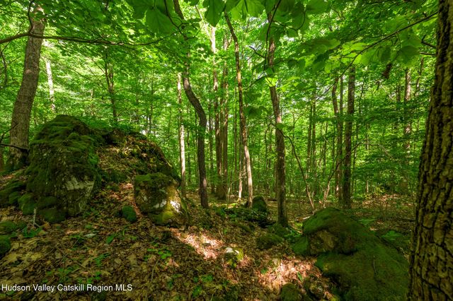 105 Norton Road, Austerlitz, NY 12017