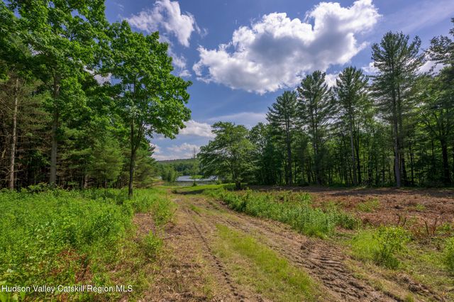 105 Norton Road, Austerlitz, NY 12017