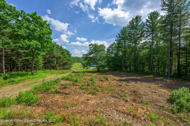 105 Norton Road, Austerlitz, NY 12017