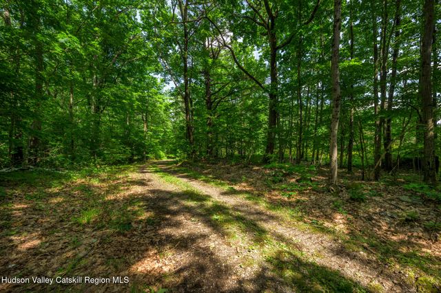 105 Norton Road, Austerlitz, NY 12017