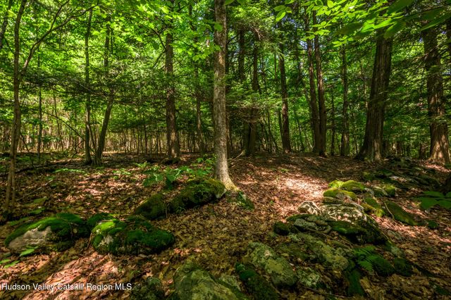 105 Norton Road, Austerlitz, NY 12017