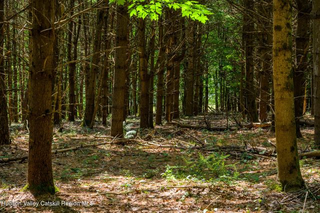 105 Norton Road, Austerlitz, NY 12017