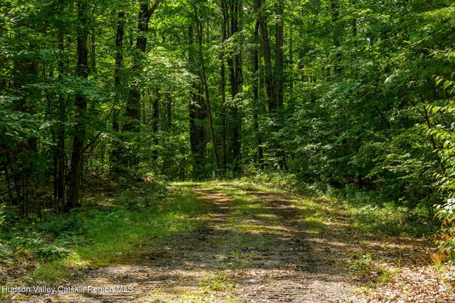 105 Norton Road, Austerlitz, NY 12017