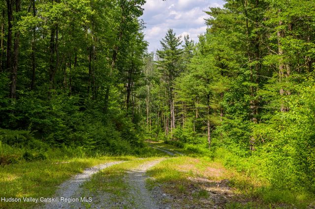 105 Norton Road, Austerlitz, NY 12017