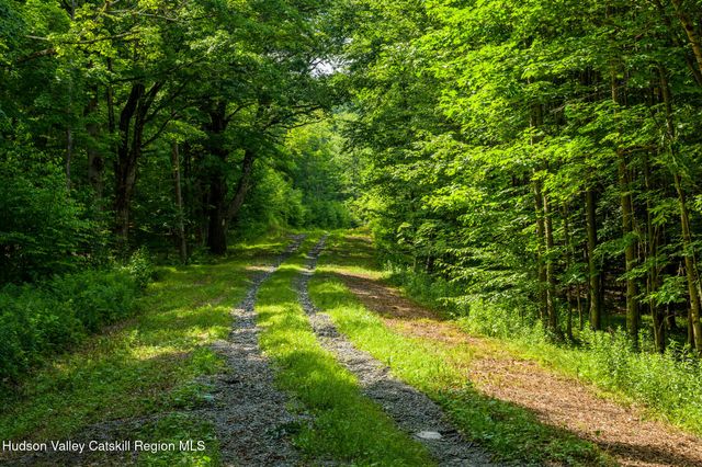 105 Norton Road, Austerlitz, NY 12017