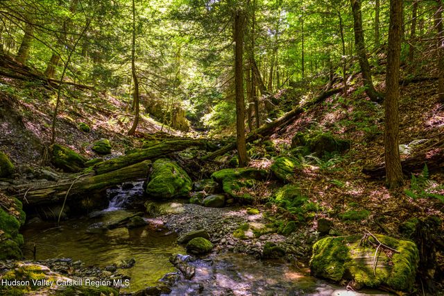 105 Norton Road, Austerlitz, NY 12017