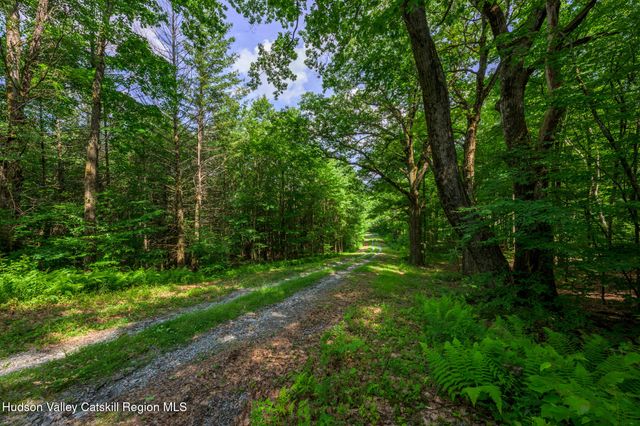 105 Norton Road, Austerlitz, NY 12017