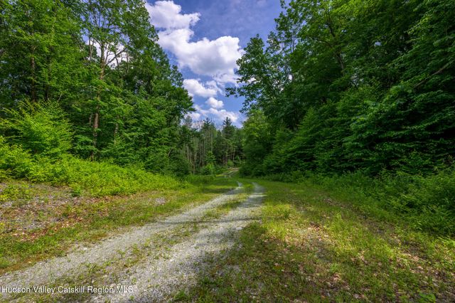 105 Norton Road, Austerlitz, NY 12017