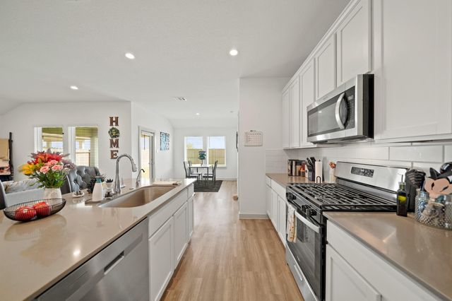 1103 Curly Angora Court, Rosharon, TX 77583