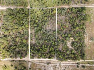 0 NE 75 STREET, Bronson, FL 32621