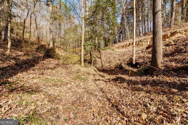 104 Nugget Lane, Ellijay, GA 30540