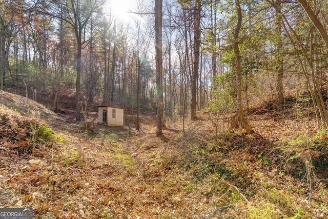 104 Nugget Lane, Ellijay, GA 30540