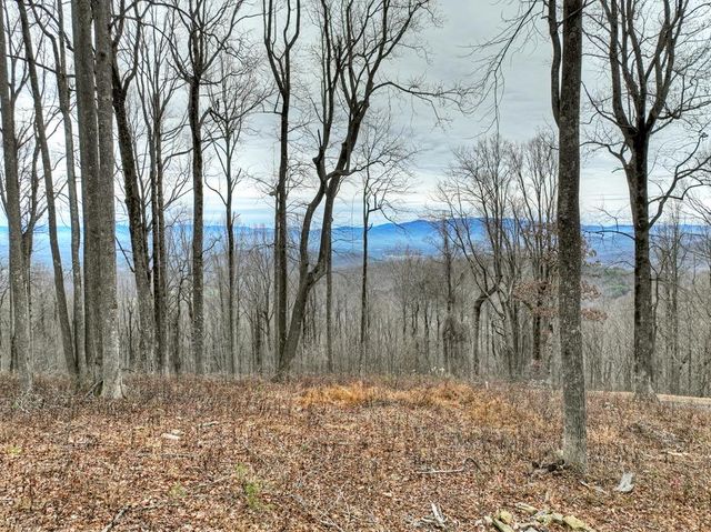 LT 296 Andes Ridge, Ellijay, GA 30536