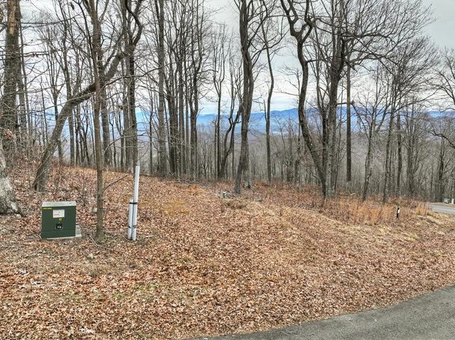 LT 296 Andes Ridge, Ellijay, GA 30536