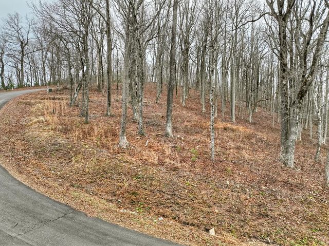 LT 296 Andes Ridge, Ellijay, GA 30536