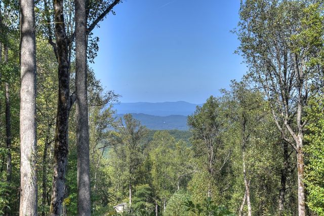 LT 296 Andes Ridge, Ellijay, GA 30536