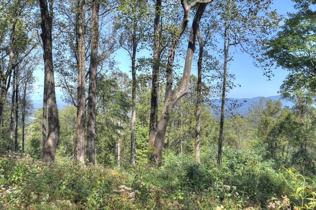LT 296 Andes Ridge, Ellijay, GA 30536