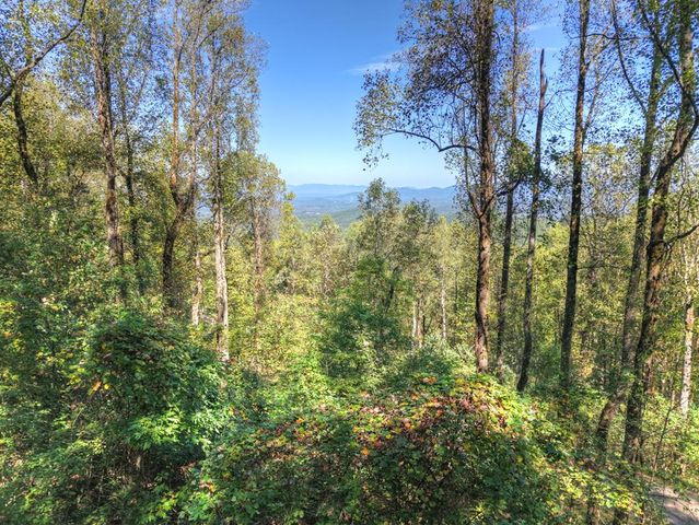 LT 296 Andes Ridge, Ellijay, GA 30536