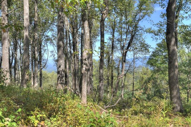 LT 296 Andes Ridge, Ellijay, GA 30536