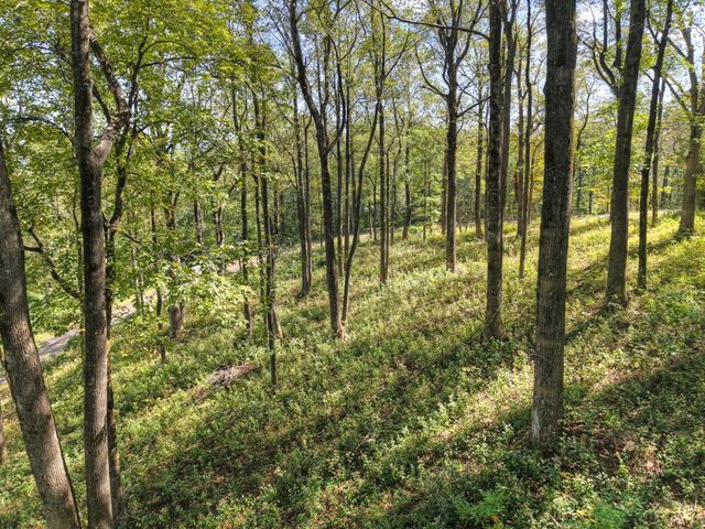 LT 296 Andes Ridge, Ellijay, GA 30536