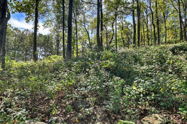 LT 296 Andes Ridge, Ellijay, GA 30536