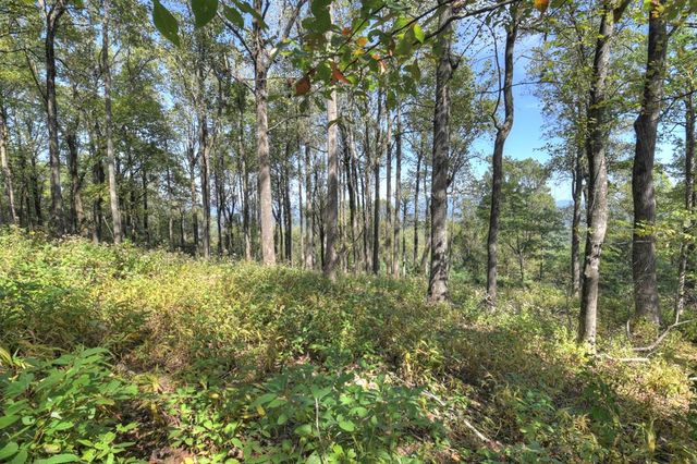 LT 296 Andes Ridge, Ellijay, GA 30536