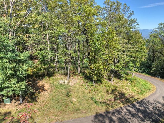 LT 296 Andes Ridge, Ellijay, GA 30536