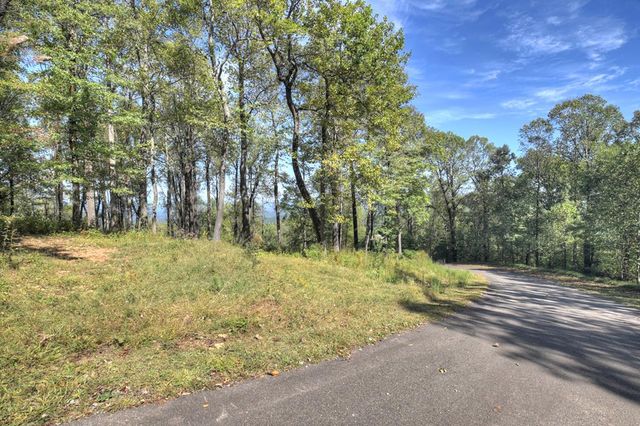 LT 296 Andes Ridge, Ellijay, GA 30536