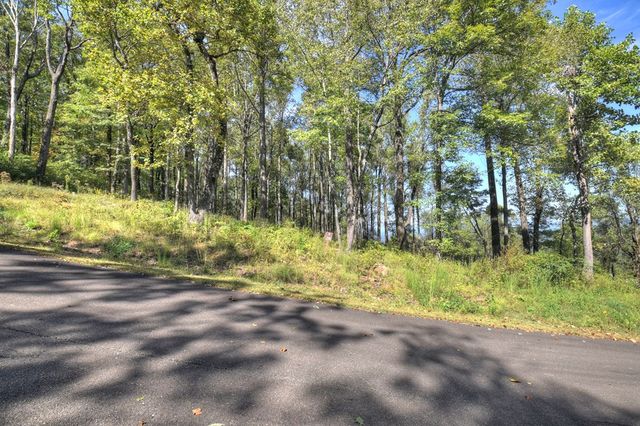 LT 296 Andes Ridge, Ellijay, GA 30536