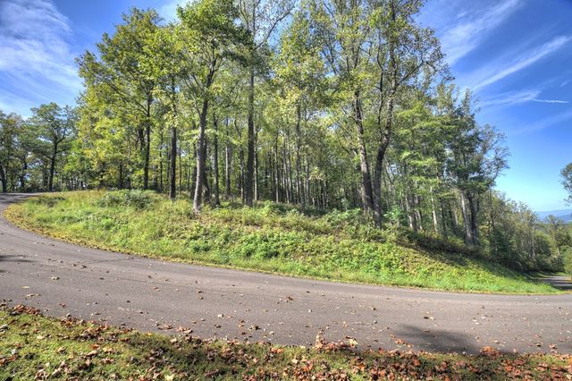 LT 296 Andes Ridge, Ellijay, GA 30536