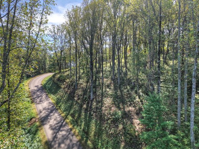 LT 296 Andes Ridge, Ellijay, GA 30536