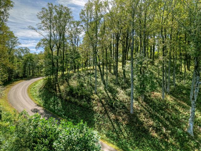 LT 296 Andes Ridge, Ellijay, GA 30536