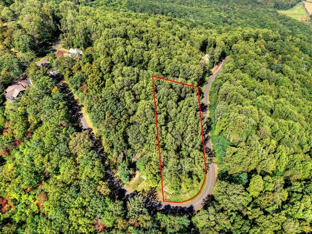 LT 296 Andes Ridge, Ellijay, GA 30536