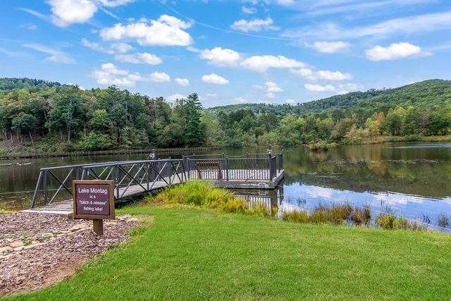 LT 296 Andes Ridge, Ellijay, GA 30536