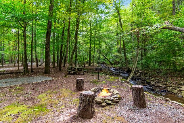 LT 296 Andes Ridge, Ellijay, GA 30536