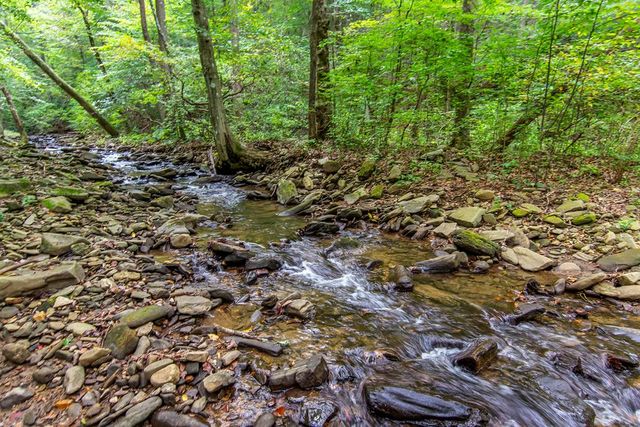 LT 296 Andes Ridge, Ellijay, GA 30536