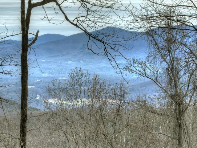 LT 296 Andes Ridge, Ellijay, GA 30536