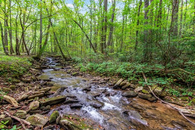LT 296 Andes Ridge, Ellijay, GA 30536