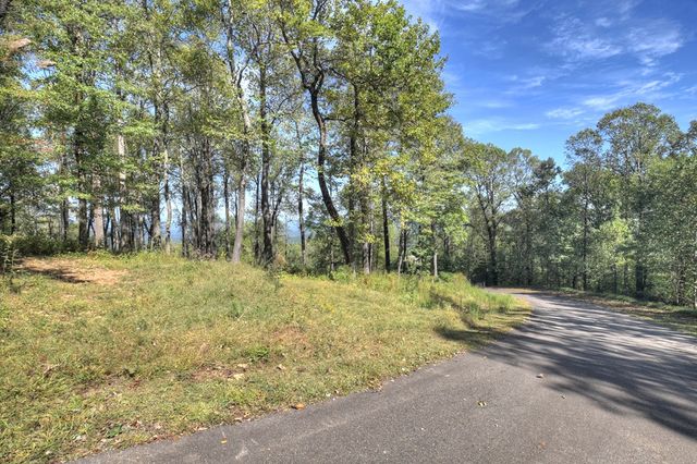 LT 296 Andes Ridge, Ellijay, GA 30536
