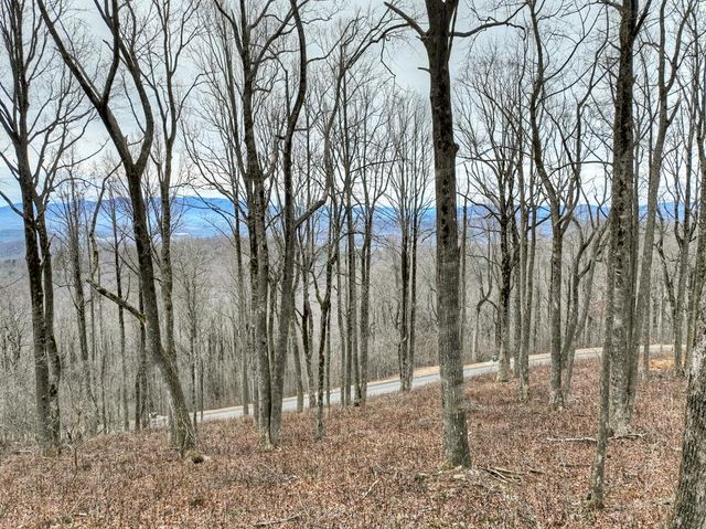 LT 296 Andes Ridge, Ellijay, GA 30536