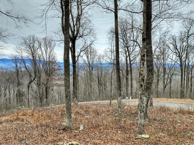 LT 296 Andes Ridge, Ellijay, GA 30536