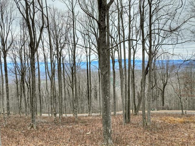 LT 296 Andes Ridge, Ellijay, GA 30536