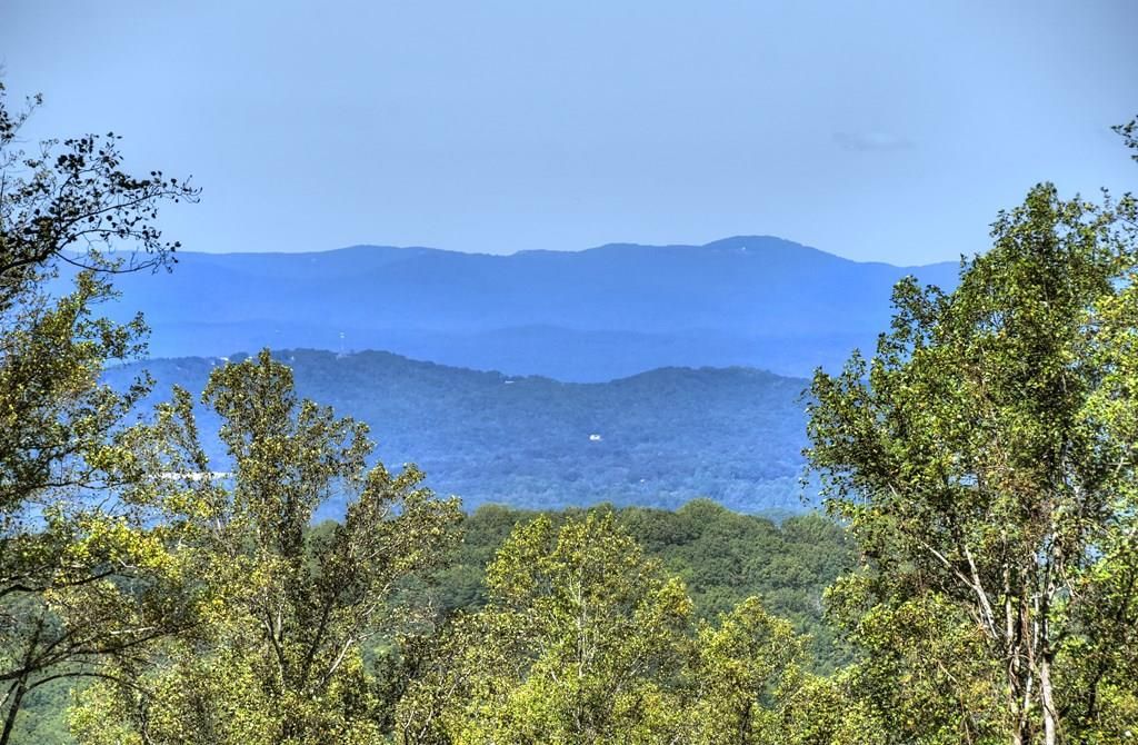 LT 296 Andes Ridge, Ellijay, GA 30536