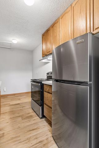 1318 Landmark Trail N, Hopkins, MN 55343