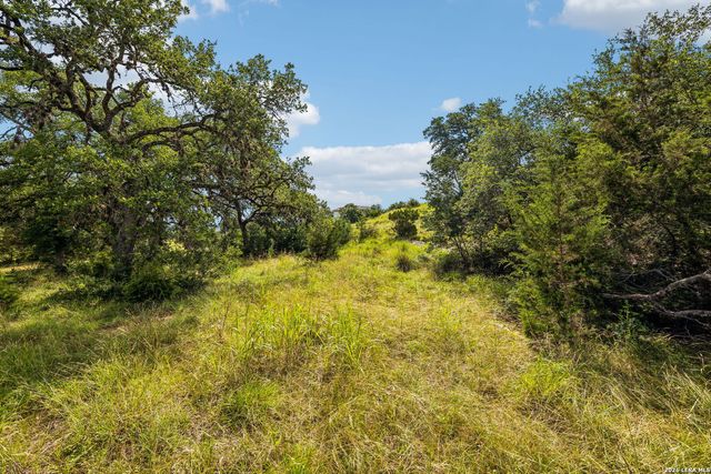 155 Obscure Way, Spring Branch, TX 78070