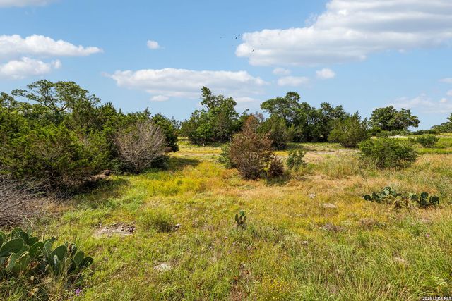 155 Obscure Way, Spring Branch, TX 78070
